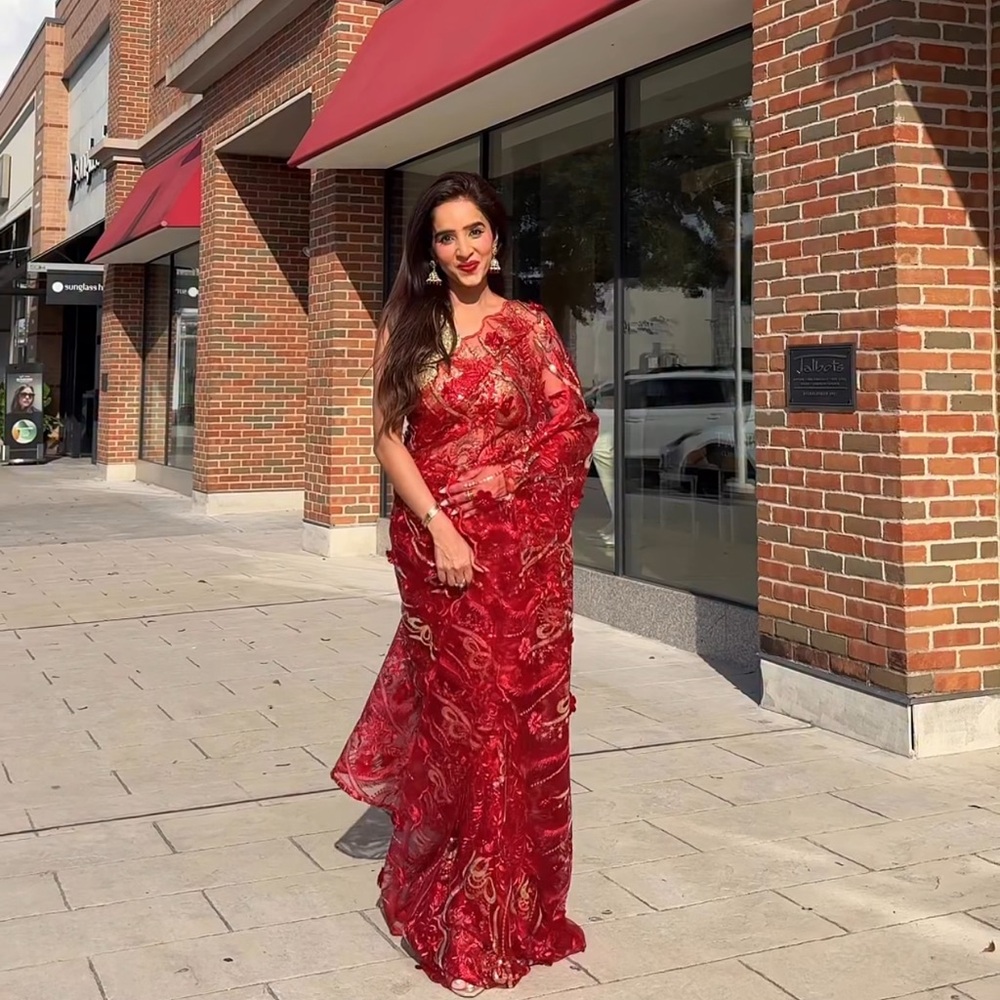 Elegant Red and Gold Lace saree